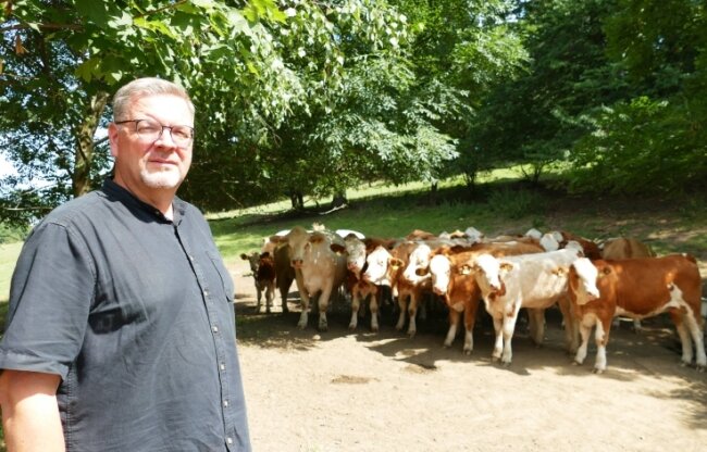 Wie Tiere Mit Der Hitze Zurechtkommen Freie Presse Marienberg