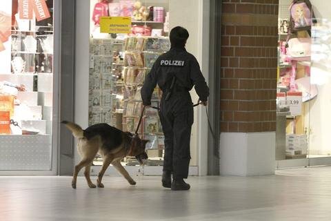<p>
	Bei der Suche nach dem vermeintlichen Sprengsatz, bei der auch Sprengstoffsuchhunde eingesetzt wurden, wurde kein verdächtiger Gegenstand gefunden.</p>
