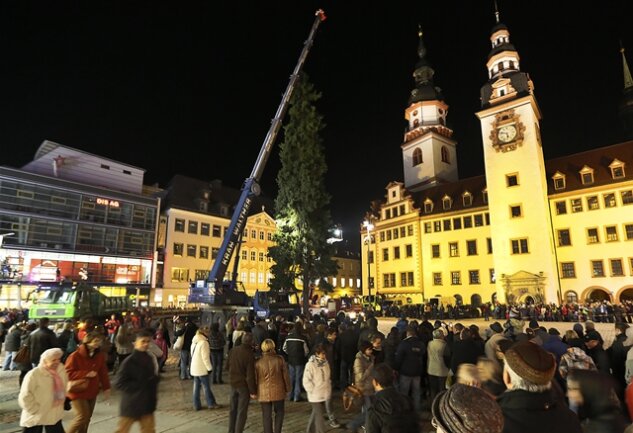 Am Samstagnachmittag ist der Chemnitzer Weihnachtsbaum in der City aufgestellt worden.