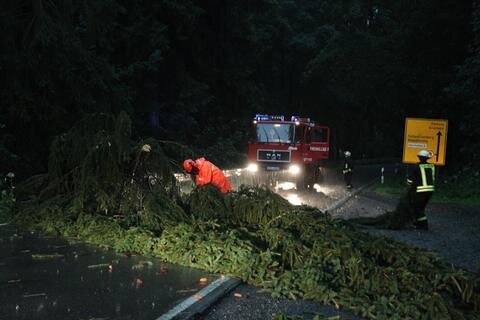 <p>
	Auf der Elterleiner Straße in Grünhain blockierte ein umgestürzter Baum die Fahrbahn.</p>
