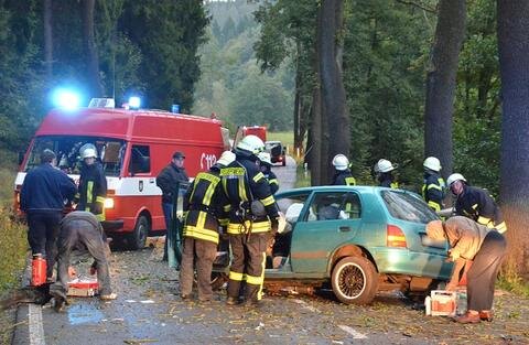 <p>
	Im Einsatz waren neben Rettungsdienst und Notarzt auch die Feuerwehren aus Pfaffroda, Schönfeld, Dittmannsdorf und Dörnthal.</p>
