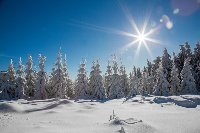 <p>
	Die Landschaft auf dem Fichtelberg gleicht einem Wintermärchen.</p>
