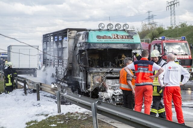 <p>
	Ein Viehtransporter ist am Dienstagnachmittag auf der A72 Richtung Leipzig in Höhe der Anschlussstelle Röhrsdorf in Brand geraten.</p>
