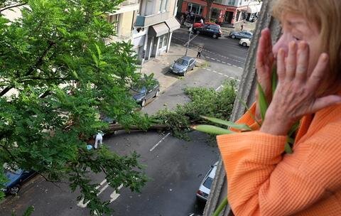 <p>
	<span class="Text">Ein Frau schaut in Düsseldorf aus ihrem Fenster auf die Sturmschäden der Nacht vom Montag zum Dienstag. </span></p>
