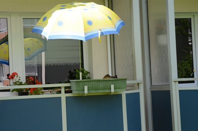 <p>
	12.06. Vor der heißen Sonne schützt ein<br />
	extra aufgestellter Schirm.</p>
