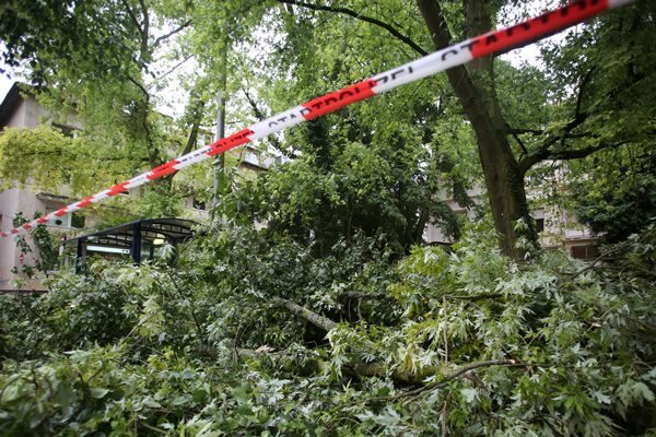 <p>
	In Mainz stürzten im Binnenhafen einige Hochseecontainer auf die Straße und beschädigten Stromleitungen. Zudem galt es für die dortige Polizei und Feuerwehr bei rund 100 Einsätzen vor allem, umgestürzte Bäume und abgebrochene Äste zu beseitigen, wie die Polizei mitteilte.</p>
