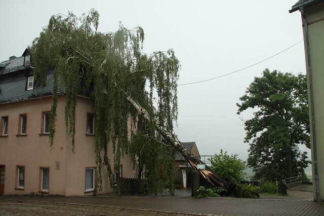 <p>
	Mehrere Bäume stürzten um. (Im Bild: Grünberg (Landkreis Mittelsachsen))</p>
