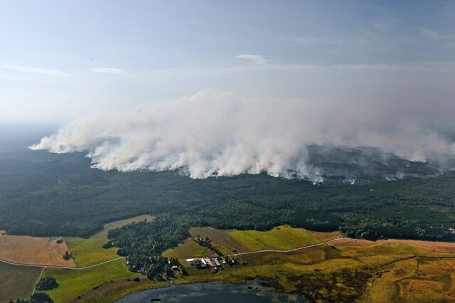 <p>
	Die verheerenden Waldbrände in Schweden wüten trotz pausenlosen Löschens weiter.</p>
