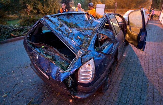 <p>
	Im Taunus und in der Pfalz rund um Ludwigshafen kam es daraufhin zu Verkehrsbehinderungen. In der Vorderpfalz wurde ein Autofahrer leicht verletzt, als er einem umgestürzten Baum ausweichen wollte und dann mit seinem Wagen gegen einen Baum am Straßenrand prallte.</p>
