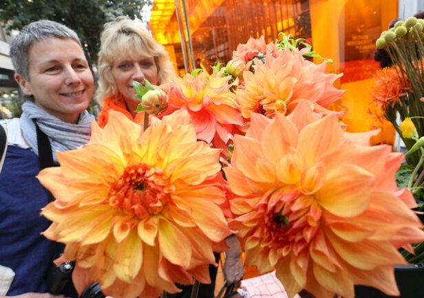 <p>
	Der Fachverband Deutscher Floristen organisiert mit der Fleurop AG den Wettbewerb alle zwei Jahre. Der Verband hat bundesweit rund 5000 Mitglieds-Unternehmen, die Anzahl sei in den zurückliegenden Jahren gesunken. „Die Branche ist im Wandel“, sagt Sprecherin Nicola Fink.</p>
