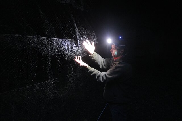 <p>
	Der Fledermaus-Forscher Andreas Kiefer prüft in Mudershausen (Westerwald) im Scheinwerferlicht seiner Taschenlampe ein Fangnetz für Fledermäuse vor dem Eingang zu einer Höhle.<br />
	&nbsp;</p>
