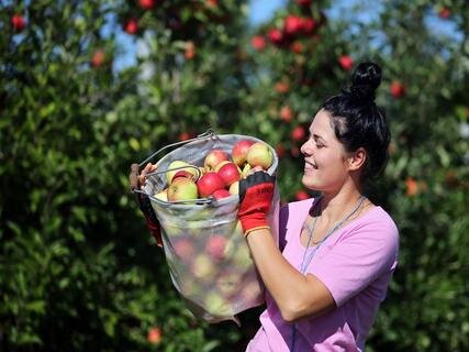 <p>
	Jentzsch appellierte an die Verbraucher, heimisches Obst zu kaufen.</p>
