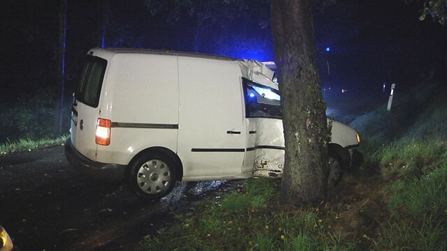 <p>
	Auf der Zwickauer Straße zwischen Thurm und Zwickau ist am Freitagabend gegen 20 Uhr ein Pkw in den Seitengraben gefahren und mit einem Baum kollidiert.</p>
