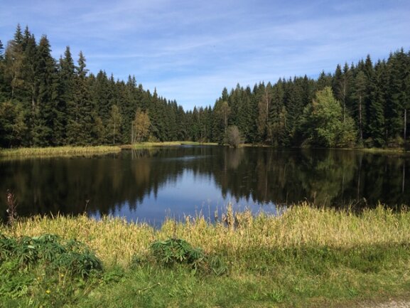 <p>
	Blick auf einen See im Waldpark im vogtländischen Grünheide</p>
