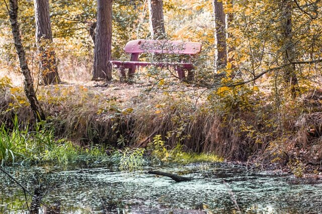 <p>
	Ruheplatz an einem Teich im Werdauer Wald</p>
