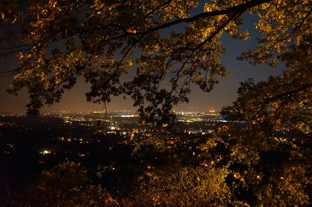 <p>
	Herbstbaum bei Nacht - aufgenommen in Dresden Nähe Spitzhaus</p>
