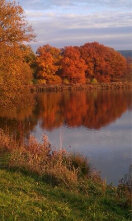 <p>
	Roter Herbst - aufgenommen nahe Zwönitz</p>
