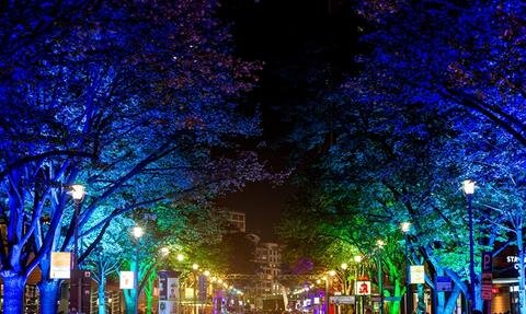 <p>
	Farbenfrohe Lichtinstallationen verwandeln auch die alte Potsdamer Straße, ...</p>
