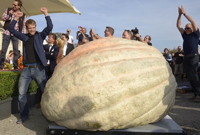<p>
	Mit einem 1054 Kilo schweren Kürbis-Koloss hat ein Schweizer Züchter bei der Europameisterschaft im Kürbiswiegen am Sonntag den Weltrekord geknackt.</p>
