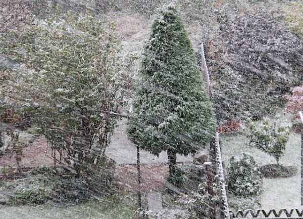 <p>
	Winter-Start im West-Erzgebirge: Erster Schnee der Saison fiel am Mittwochmorgen in Schönheide.</p>
