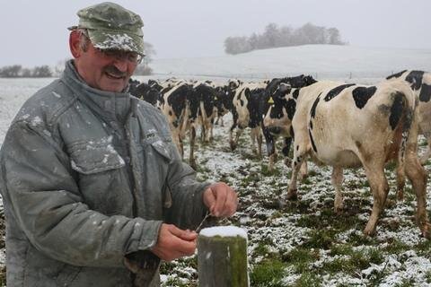 <p>
	Klaus-Dieter Lippmann aus Ansprung musste zum ersten Mal in dieser Saison die Kühe bei Schnee auf die Weide treiben. &quot;Den Tieren macht das überhaupt nichts aus, sie finden noch genug zu Fressen&quot;, so der Fachmann. Für die Herde ist es außerdem nicht der erste Winter und der Schnee daher nichts Besonderes mehr.</p>
