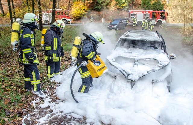 <p>
	Ein VW ist am Freitagmittag auf der Staatsstraße 213 zwischen Olbernhau und Seiffen komplett ausgebrannt.</p>
