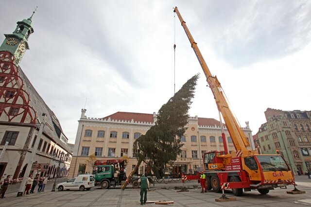 <p>
	&nbsp;Heute Nachmittag ist eine 20 Meter hohe Fichte auf dem Platz vor dem Zwickauer Rathaus per Kran aufgestellt worden.</p>
