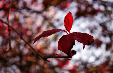 <p>
	Herbst</p>
