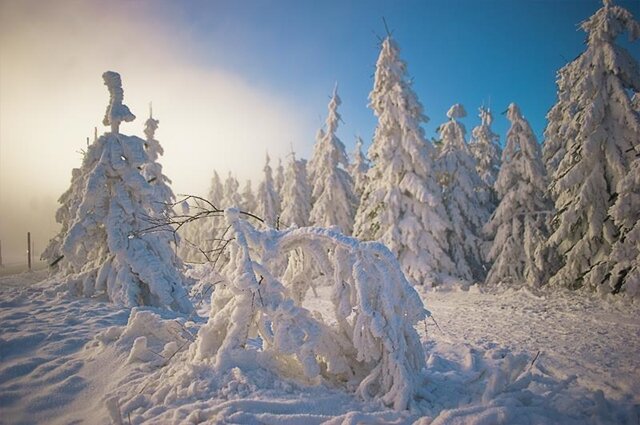 <p>
	Winterwunderland Fichtelberg - Temperaturen um -3°C lassen nicht nur Herzen von Wintersportlern höher schlagen.</p>
