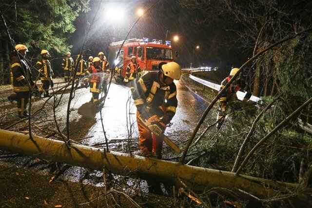 <p>
	In Marienberg bei Hüttengrund stürzte in den frühen Sonntagmorgenstunden ein Baum auf die Straße. Die Freiwillige Feuerwehr Marienberg war im Einsatz und beräumte die Fahrbahn.</p>
