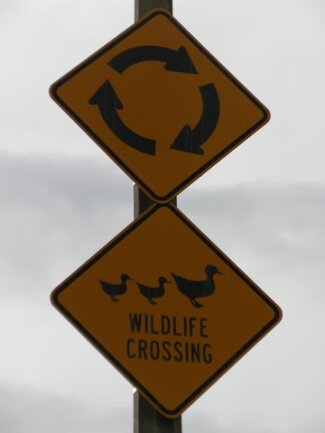 <p>
	Warnung vor wilden Tieren...aufgenommen in Neuseeland.</p>
