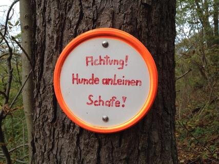 <p>
	Marke Eigenbau: Entdeckt bei der Leuchtenburg in Kahla.</p>
