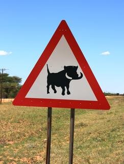 <p>
	Das Bild wurde im November 2007 in Namibia in der Nähe von Windhoek aufgenommen. Dieses Hinweisschild weist auf passierende Warzenschweine hin.</p>
