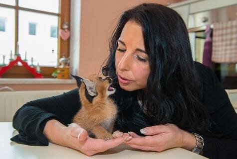 <p>
	„Seit 2007 züchte ich Bengalkatzen“, erzählt die 40-jährige Jahnsdorferin.</p>
