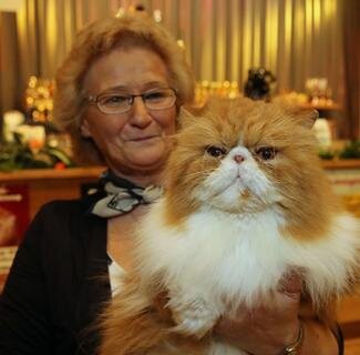 <p>
	Ausstellungsleiterin Brigitte Jiranek hatte ihren 11 Jahre alten Weltchampion Lemmacats mit nach Werdau gebracht.</p>
