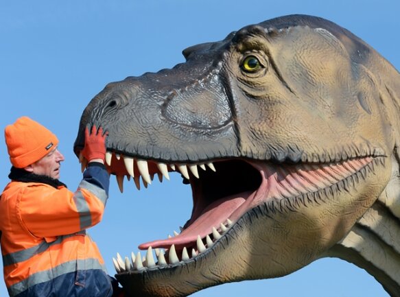 <p>
	Für eine am 31. März beginnende Schau Dinosaurier werden derzeit lebensgroß nachgebildete Modelle aufgestellt.</p>
