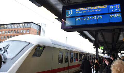 <p>
	Betroffen waren etwa die ICE- und IC-Verbindungen zwischen Hamburg und Hannover sowie zwischen Berlin und Wolfsburg. Am Montagvormittag beruhigte sich die Lage jedoch wieder, die Bahn-Strecken wurden freigegeben.</p>
