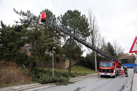 <p>
	In Ottendorf sind von einer großen Kiefer an Mittweidaer Straße Äste heruntergefallen. Diese beschädigten einen Transporter und rissen auf etwa 200 Metern eine Stromleitung herunter.&nbsp;</p>
