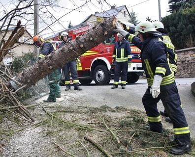 <p>
	<span class="Text">Kameraden der Freiweilligen Feuerwehr Flöha rückten am Dienstag gegen 14.40 Uhr ausgerückt. Sie beseitigten einen Baum, der durch den Sturm auf einem Privatgrundstück entwurzelt wurde.</span></p>
