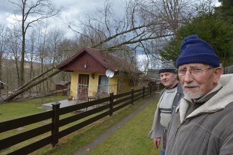 <p>
	Erich Blenk und Günter Kraut stehen am Nachbarsgarten, indem zwei wilde Kirschen das Dach beschädigt haben.</p>
