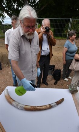 <p>
	Holm Ritter vom Landesamt für Archäologie Sachsen präsentierte am Mittwoch den 3,6 Kilogramm schweren Mammut-Stoßzahn.</p>
