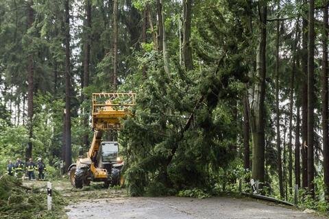 <p>
	In Thermalbad Wiesenbad knickten Orkanböen zahlreiche Bäume um. Die B 101 musste in beide Richtungen für drei Stunden voll gesperrt werden.</p>
