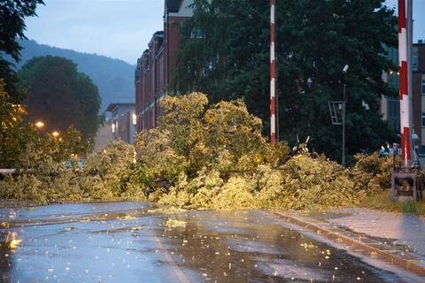 <p>
	Sturmböen ließen einen Baum am Bahnübergang an der Breitscheidstraße umfallen.</p>
