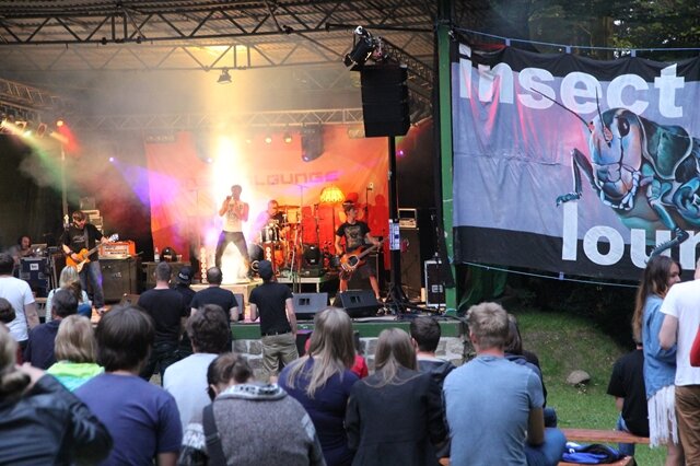 <p>
	Zwölf Bands rockten am Wochenende die Waldbühne Börnichen beim Insectlounge-Festival.</p>
