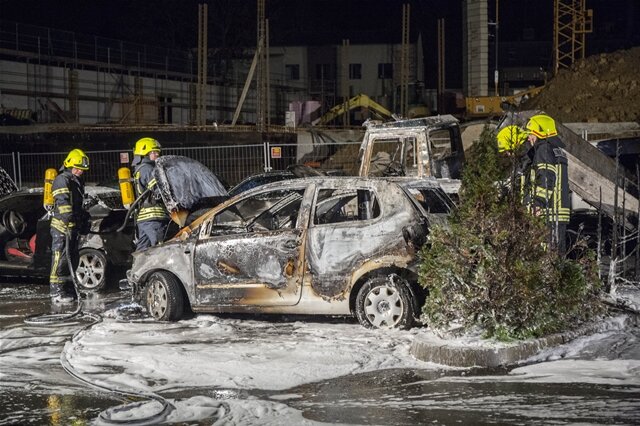 <p>
	Wie die Polizei mitteilte, geriet aus bisher unbekannter Ursache einer der Wagen in Brand, woraufhin das Feuer auf die anderen Autos übergriff.</p>
