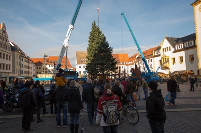 <p>
	Gegen 11 Uhr wurde der Baum auf dem Obermarkt aufgestellt.</p>
