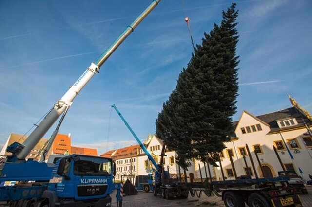 <p>
	Der Freiberger Weihnachtsbaum ist am Freitagmorgen auf dem Obermarkt aufgestellt worden.</p>
