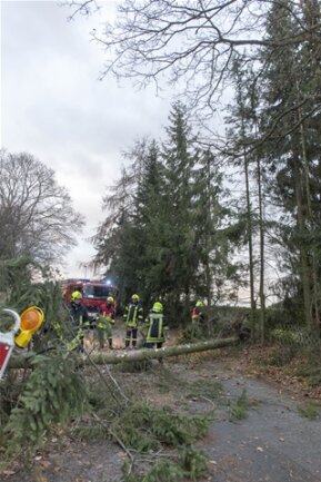 <p>
	Feuerwehren waren unter anderem in Sehma, Annaberg und Venusberg unterwegs um umgestürzte Bäume zu entfernen. Auch Verkehrszeichen und Schilder kippten durch den Sturm zu Boden.</p>
