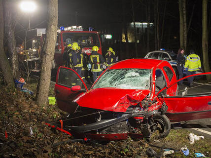 <p>
	Gegen 16 Uhr kollidierten in Gehringswalde ein Audi und ein Opel frontal.</p>
