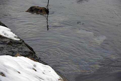 <p>
	Ein Angler hatte ölähnliche Flüssigkeiten aus einem Zufluss entdeckt.</p>
